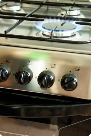 cooker2